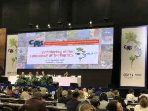 CITES CoP19会場